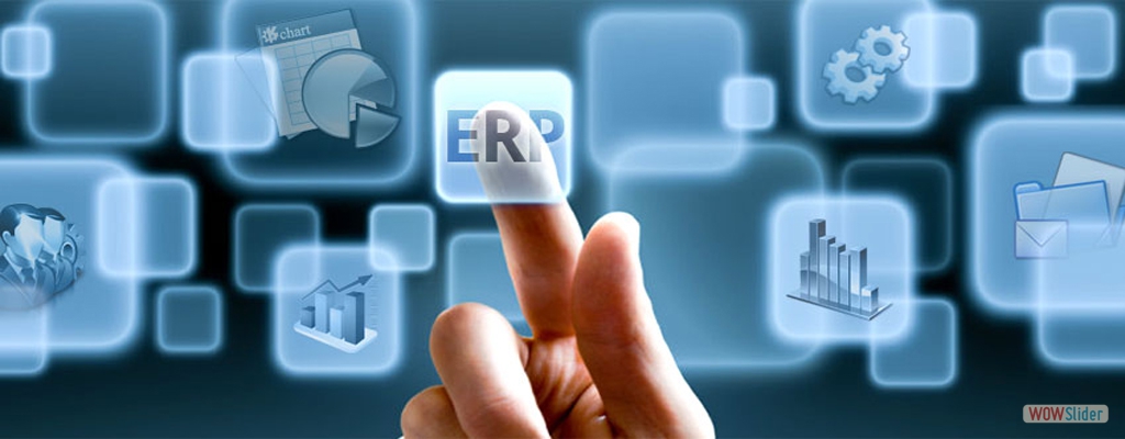 ERP ( Enterprise Resource Planning ) Software
